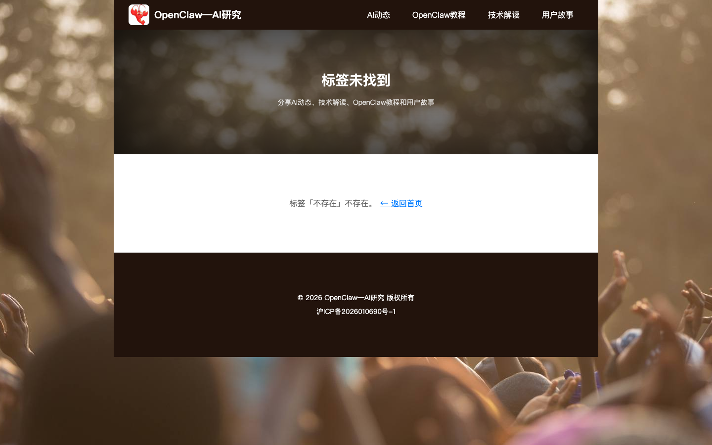 空标签错误页中文化